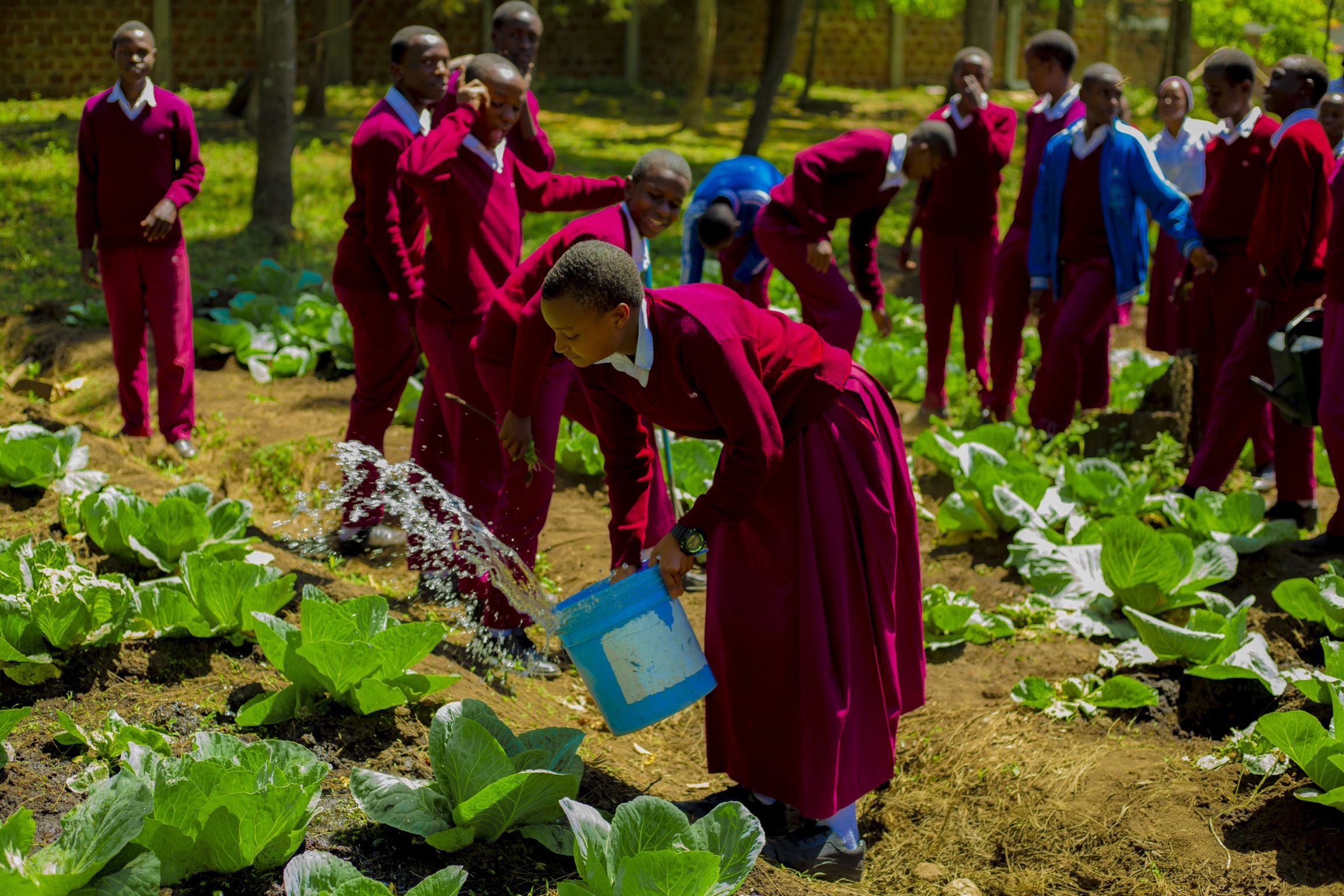 Students growing their own vegetables